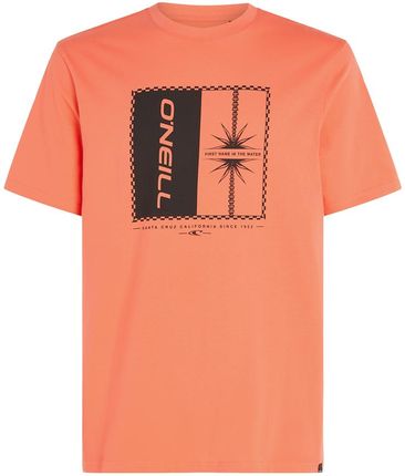 Męska Koszulka z krótkim rękawem O'Neill Mix & Match Palm T-Shirt 2850202-12517 – Pomarańczowy