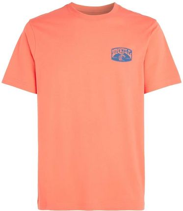 Męska Koszulka z krótkim rękawem O'Neill O'Neill Beach Graphic T-Shirt 2850215-12517 – Pomarańczowy