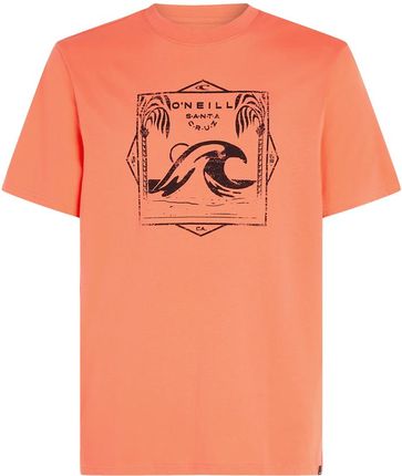 Męska Koszulka z krótkim rękawem O'Neill Mix & Match Wave T-Shirt 2850220-12517 – Pomarańczowy
