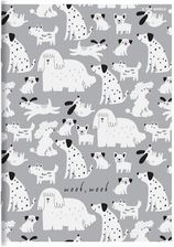 Zdjęcie Zeszyt A5/32K Linia Podwójna Megamix 400183672 - Białystok