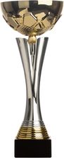 Zdjęcie Puchar C535 Złoto-Srebrny 32cm - Maszewo