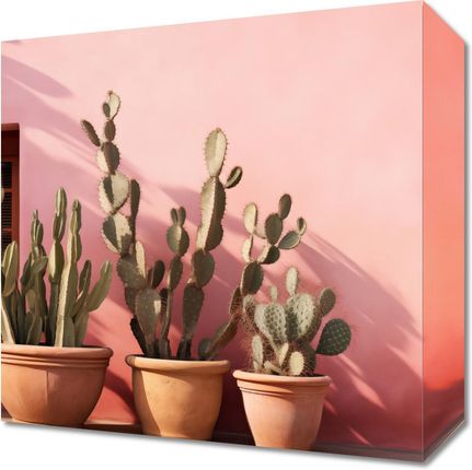 Zakito Posters Obraz 30X30Cm Kaktusy W Świetle
