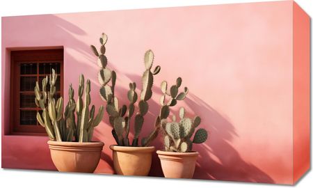 Zakito Posters Obraz 50X30Cm Kaktusy W Świetle