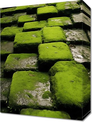 Zakito Posters Obraz 30X40Cm Zielona Mozaika