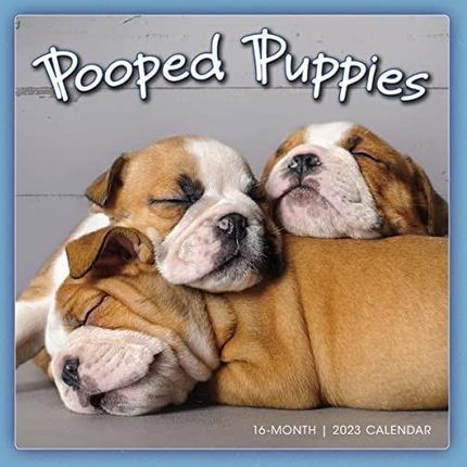 Pooped Puppies September 2022-December 2023 Calendar (WALL 16 MONTH) 