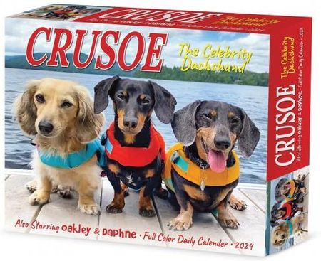 Crusoe the Celebrity Dachshund 2024 6.2 X 5.4 Box Calendar - Ryan Beauchesne 
