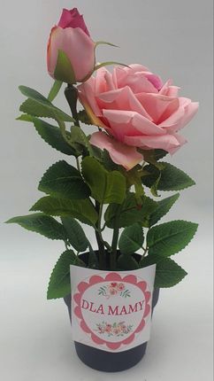 Midex Kwiat Róża W Doniczce Dla Mamy 15283254713