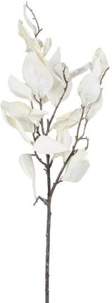 Faktor Magnolia Gałąź Jesienna 3 Szt 31527