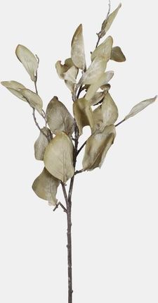 Faktor Magnolia Gałąź Jesienna 3 Szt 31529