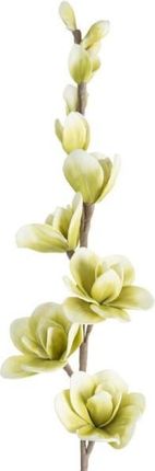 Eurofirany Kwiat Flore 12x104 Cm Zielony 6 Szt. 30907
