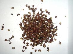 Zdjęcie pieprz Syczuański mielony na pył  25 Kg - Ostrów Lubelski