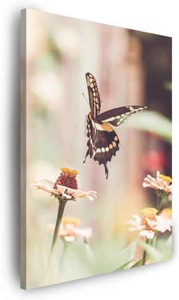 Marka Niezdefiniowana Obraz na płótnie Natura Owad Motyl Kwiaty Wiosna Lato 30x40