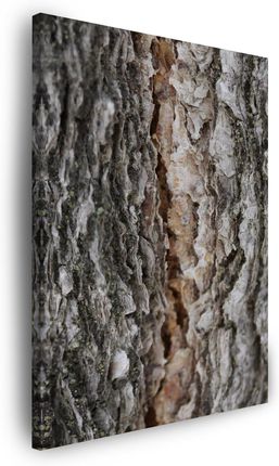 Marka Niezdefiniowana Obraz na płótnie Natura Kora Drzewa 40x60