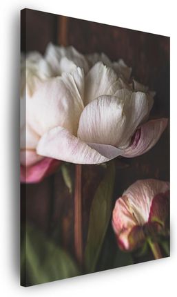 Marka Niezdefiniowana Obraz na płótnie Biały Kwiat Natura Vintage Retro 60x100