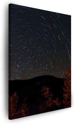 Marka Niezdefiniowana Obraz na płótnie Natura Las Noc Góry Abstrakcja Drzewa 30x40