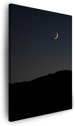 Marka Niezdefiniowana Obraz na płótnie Natura Noc Mrok Księżyc Góry 30x40