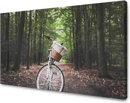 Marka Niezdefiniowana Obraz na płótnie Młodzieżowe Rower w Lesie 120x70