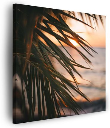 Marka Niezdefiniowana Obraz na płótnie Natura Plaża Palma Morze Zachód Słońca 80x80