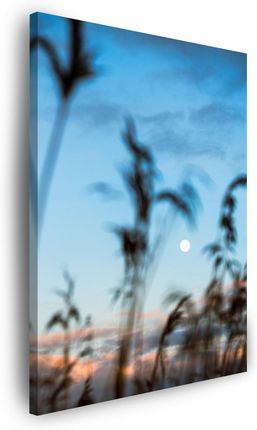 Marka Niezdefiniowana Obraz na płótnie Natura Polana Łąka Wschód Słońca 40x80
