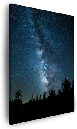 Marka Niezdefiniowana Obraz na płótnie Kosmos Noc Las Mgławica 60x120