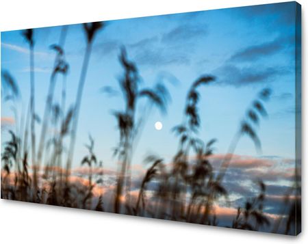 Marka Niezdefiniowana Obraz na płótnie Natura Polana Łąka Wschód Słońca 120x40
