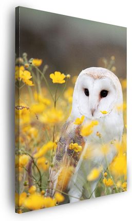 Marka Niezdefiniowana Obraz na płótnie Biała Sowa Kwiaty Przyroda Łąka 60x120