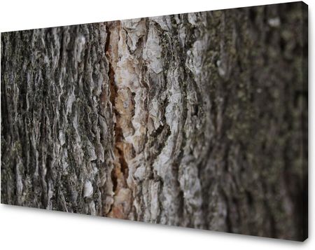 Marka Niezdefiniowana Obraz na płótnie Natura Kora Drzewa 100x80