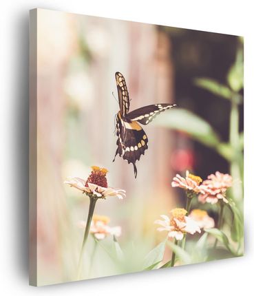 Marka Niezdefiniowana Obraz na płótnie Natura Owad Motyl Kwiaty Wiosna Lato 60x60