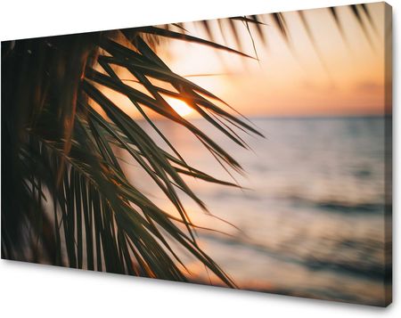 Marka Niezdefiniowana Obraz na płótnie Natura Plaża Palma Morze Zachód Słońca 100x60