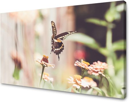 Marka Niezdefiniowana Obraz na płótnie Natura Owad Motyl Kwiaty Wiosna Lato 80x40