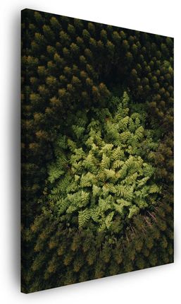 Marka Niezdefiniowana Obraz na płótnie Natura Drzewa z Lotu Ptaka 40x80