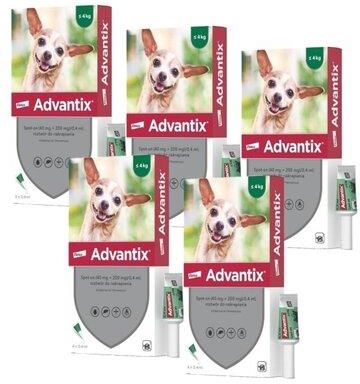 Bayer Krople Na Pchły I Kleszcze Advantix Spot-On Bardzo Małe Psy Do 4kg 20x0.4ml