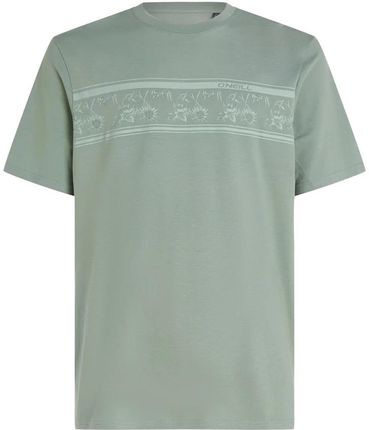 Męska Koszulka z krótkim rękawem O'Neill Mix & Match Floral Graphic T-Shirt 2850212-16017 – Zielony