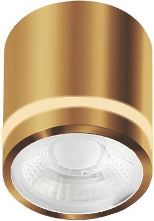 Azzardo Spot Nowoczesny Metalowy Tuba Złoty Vici Az6041 1X12W Led 3000-4000-6000K 720 Lm