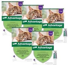 Zdjęcie Bayer Krople Na Pchły Advantage Duże Koty 20x0.8ml - Modliborzyce