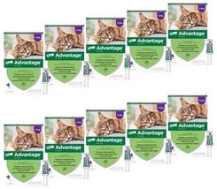 Zdjęcie Bayer Krople Na Pchły Advantage Duże Koty 40x0.8ml - Modliborzyce