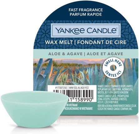 Yankee Candle wosk ALOE & AGAVE