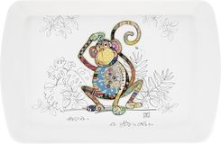 Zdjęcie Leonardo England Taca Monty Monkey - Błonie