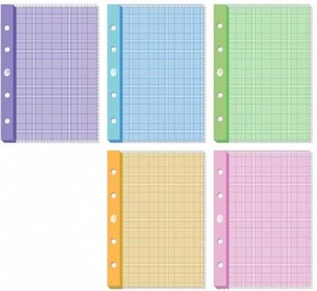 Interdruk Wkład Do Segregatora A4, 50 Kartek W Kratkę Kolorową 5 Kolorów