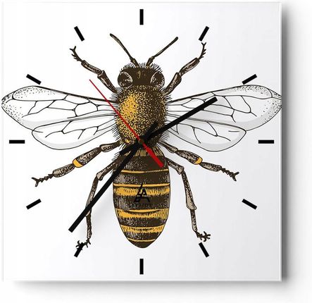 Arttor Duży Zegar Ścienny Na Ścianę 40X40 Pszczoła Szklany Kwadratowy Cichy (C3Ac40X405598)