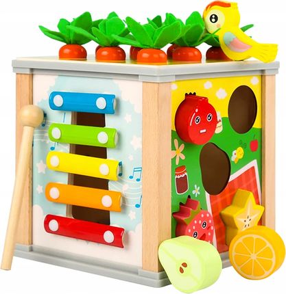 Kostka Drewniana Edukacyjna Sorter 5w1 Układanka Skrzynka Złap Robaczka