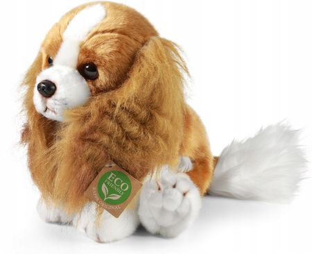 Rappa Maskotka Eko Pluszowy Pies Cavalier King Charles Spaniel Eco Pluszak Piesek