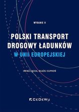 Zdjęcie Polski transport drogowy ładunków w UE - Sochaczew