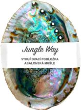 Zdjęcie Jungle Way Abalone Shell Podstawka Do Kadzidełek 1 Szt. Jgwabsh_Dics03 - Libiąż