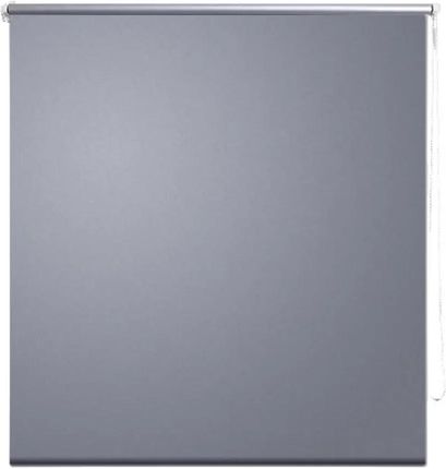 Zakito Europe Roleta Zaciemniająca 100x175cm Szara Termoplastyczna (ZE240121)