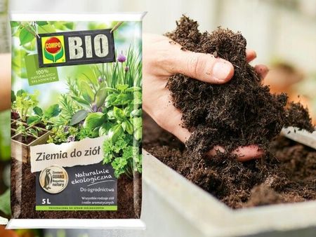 Compo Ziemia Podoe Bio Do Zi Bazylii Mity Rozmarynu Eko 5L - Ceny i  opinie - Ceneo.pl