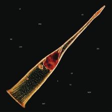 Zdjęcie Leprous - Melodies Of Atonement (2CD)+(Blu-Ray) - Lublin