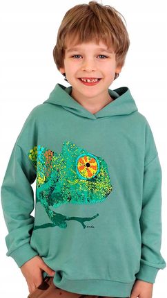 Bluza dziecięca Chłopięca bawełna zielona 152 dresowa z Kapturem Endo