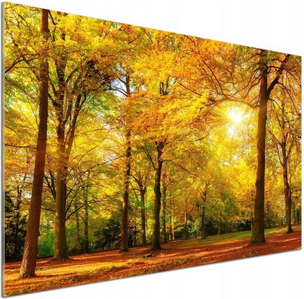Tulup Panel Dekor Szkło Las Jesienią 100x70cm