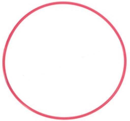 O-Ring per filtro dell'olio a buon prezzo | Louis